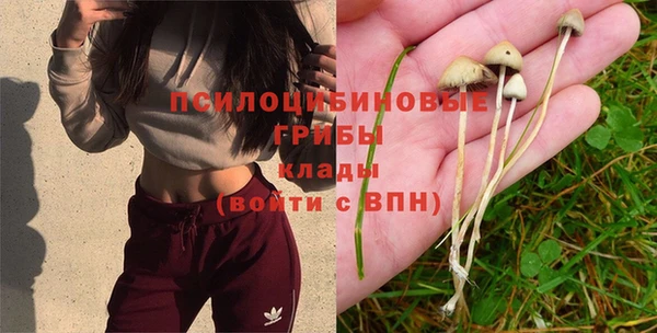 стаф Абдулино