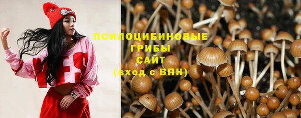 бошки Абинск