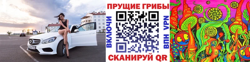 Псилоцибиновые грибы Psilocybine cubensis  как найти закладки  Новотроицк 