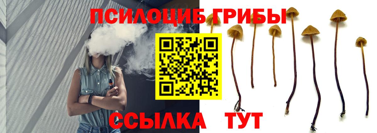 Галлюциногенные грибы Cubensis Новотроицк